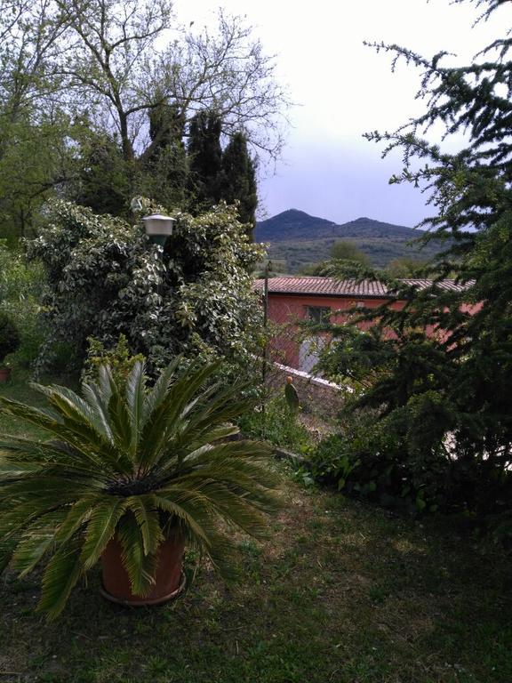 Agriturismo Usurtala Orani Luaran gambar
