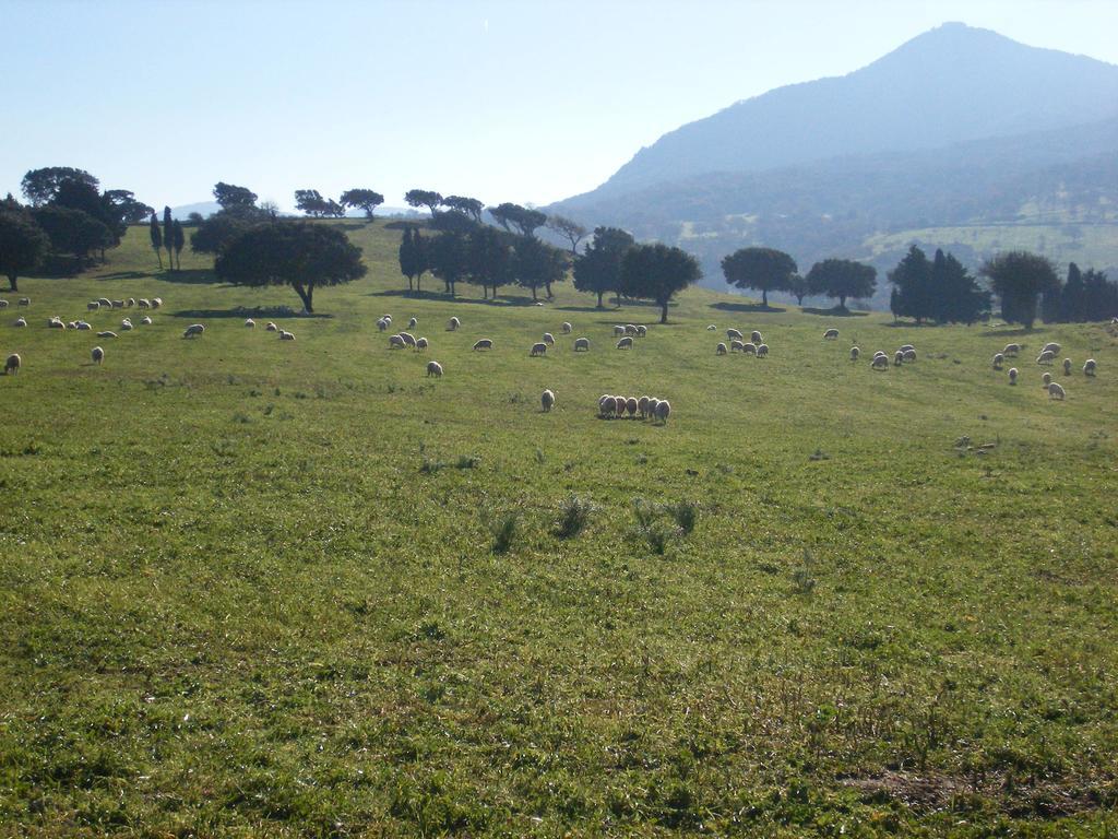 Agriturismo Usurtala Orani Luaran gambar